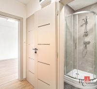 Bathroom with shower and interior with wood-decor flooring in a 2-room apartment.
