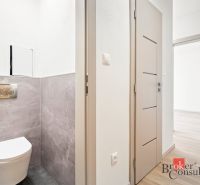 Bathroom and hallway in a 2-room apartment with a wooden decor floor.