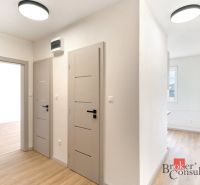 A hallway with doors and a wooden decor floor in a 2-room apartment.