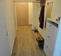 A narrow hallway in a 2-room apartment with a wooden decor floor and a wall-mounted coat rack.