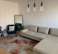 Living room in a two-room apartment with a sofa, an armchair, and a wooden decor floor.