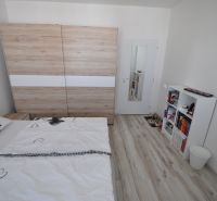 Bedroom in a 2-room apartment with wood-patterned flooring and a wardrobe.