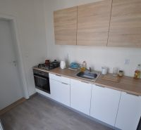 A kitchen in a 2-room apartment with a wood-patterned floor, white cabinets, and a stove.