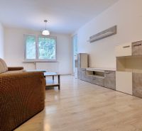 Living room in a 3-room apartment with a sofa and a wooden decor floor.
