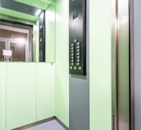 Green interior of the elevator with a control panel and a mirror.
