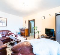 Living room of a two-room apartment with a sofa, television, and a wooden decor floor.