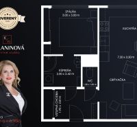 Floor plan of a 2-room apartment with the layout of the bedroom, kitchen, and living room.