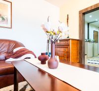 Living room of a two-room apartment with a brown sofa and decorative vases on the table.
