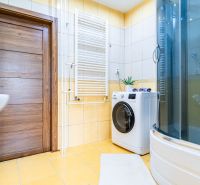 Bathroom in a 2-room apartment with a washing machine, shower corner, and floor with wooden decor.