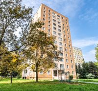 A high-rise residential building surrounded by greenery on Novomeského in Košice, Staré Mesto district.