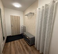 The interior of a hallway with a wood-patterned floor in a two-room apartment.