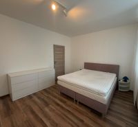 Bedroom in a 2-room apartment with a bed, dresser, and floor with a wood decor.