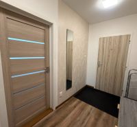 Entrance hallway with light doors and wood-patterned flooring in a 2-room apartment.