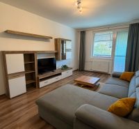 Living room in a two-room apartment with a comfortable sofa and a wooden decor floor.