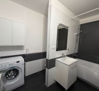 Bathroom in a 2-room apartment with a bathtub, sink, and washing machine.