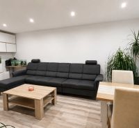 Living room with a dark sofa, plants, and a wooden decor floor in a 3-room apartment.