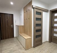 A hallway in a 3-room apartment with a wooden decor floor and furniture.