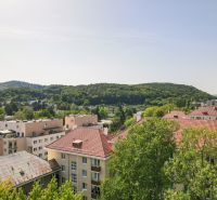 View of greenery and residential buildings in the Sad kpt. Nálepku area, Nová Dubnica.