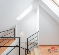 Stairs in a 3-room apartment with a wooden decor floor and large skylights.