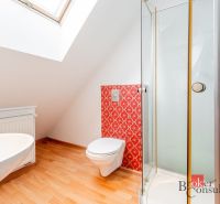 A bathroom in a 3-room apartment with tiles, a shower corner, and a floor with a wooden decor.