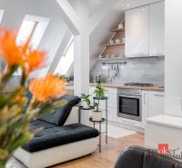 Modern kitchen with wood-patterned flooring in a 3-room apartment with large skylights.
