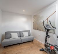 A stylish room in a 3-room apartment with a sofa bed and exercise equipment.