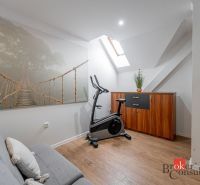 A strengthening corner in the room with a wooden decor floor and a skylight.