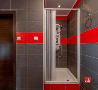 A shower corner with red and gray tiles in a 3-room apartment.