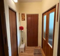Entrance hallway in a 2-room apartment with a wooden decor floor and bright lighting.