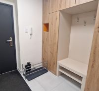 Entrance hallway in a 3-room apartment with a storage system and dark doors.