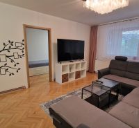 Living room in a 3-room apartment with a sofa, television, and tree wall decoration.
