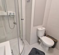 Bathroom with shower and toilet in a 3-room apartment.