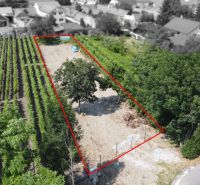 A plot on Holubyho Street in Pezinok, suitable for living, bordered by vineyards.