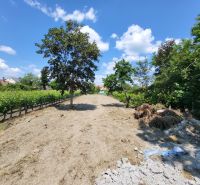 Plots - housing on Holubyho in Pezinok surrounded by vineyards and greenery.