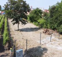 A residential plot on Holubyho Street in Pezinok surrounded by vineyards and greenery.