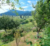 The garden of the Cottage at Do Žlebín in Ružomberok with a view of the hills and trees.
