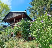 A house on Do Žlebín Street in Ružomberok surrounded by blooming bushes and trees.