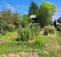 A garden with a cottage on Do Žlebín Street in Ružomberok, surrounded by trees and plants.