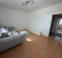 Living room with a sofa, table, and wooden decor flooring in a 2-room apartment.