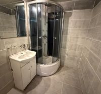 Bathroom with a sink and a shower in a 2-room apartment.