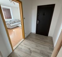 The entrance hall in a 2-room apartment with a wooden decor floor and a view of the living room.