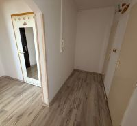 A hallway in a 2-room apartment with a wooden decor floor and white walls.