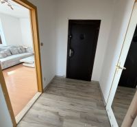A hallway in a 2-room apartment with a wooden decor floor and a view into the living room.