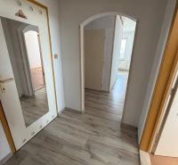 A hallway in a 2-room apartment with a wooden decor floor and a mirror.