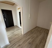 The entrance hall of a two-room apartment with a wooden decor floor and dark doors.