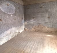 An empty room with peeling plaster and a wooden-patterned floor in a family house.
