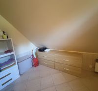 Interior of a cabin with storage space, shelves, and a cabinet under a sloped ceiling.