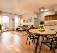 Living room and kitchen in a 4-room apartment with a wooden decor floor, comfortable seating, and decorations.