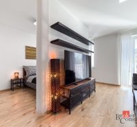 Living room with wood-patterned flooring and a TV in a studio apartment.