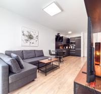 Living room of a studio apartment with a sofa, kitchen, and wood-patterned flooring.
